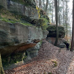 23-03-03 15-33-06 4656